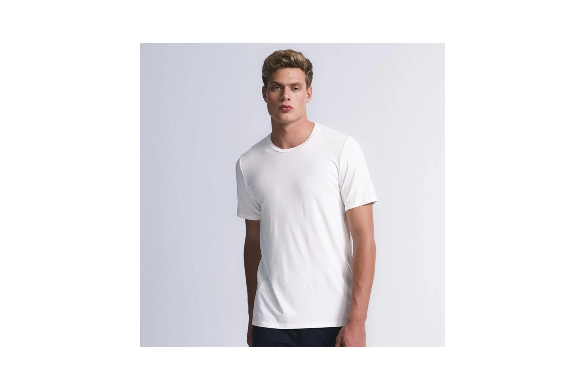 Daily T-shirt Insider